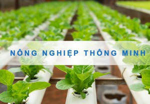 Nông nghiệp thông minh