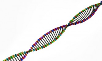 DNA-sequencer