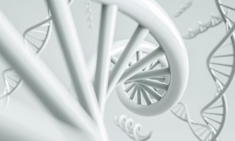 PCR